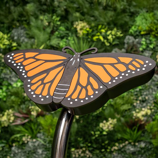 Percussion Play Butterfly No Player Square