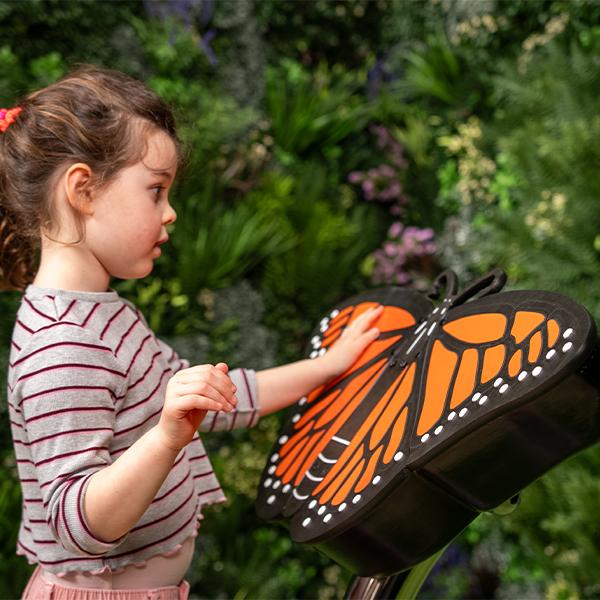 Percussion Play Butterfly with Girl Playing Square 2