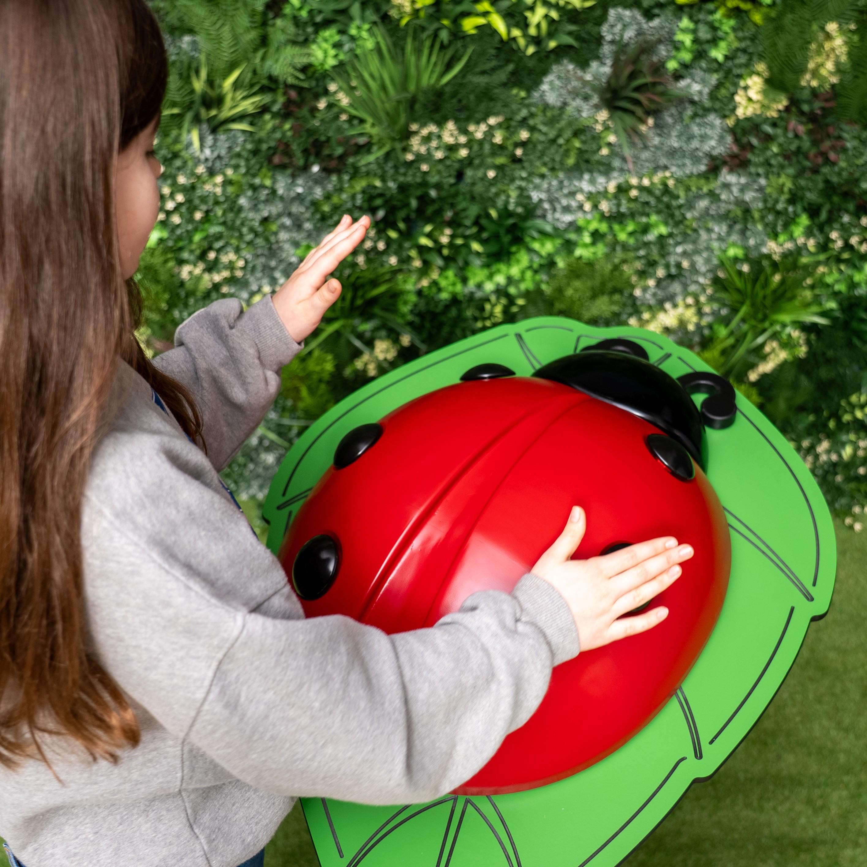 Percussion Play Ladybug with girl playing from above 3