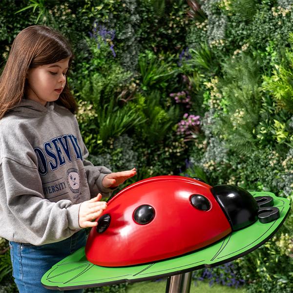 Percussion Play Ladybug with girl playing side on Square 2