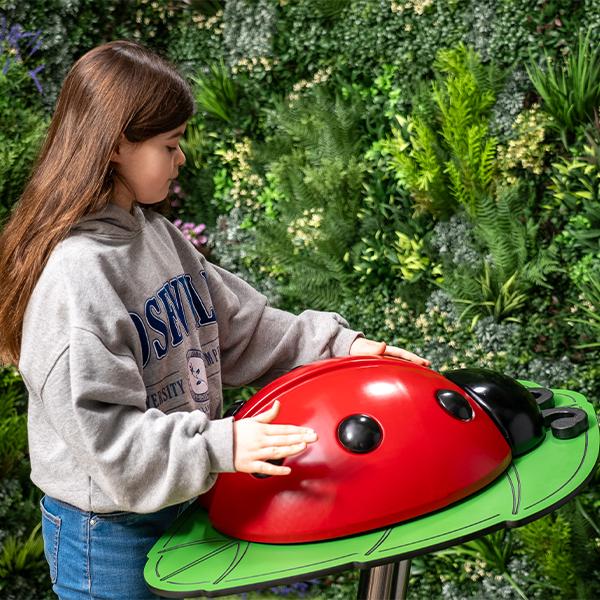 Percussion Play Ladybug with girl playing side on Square